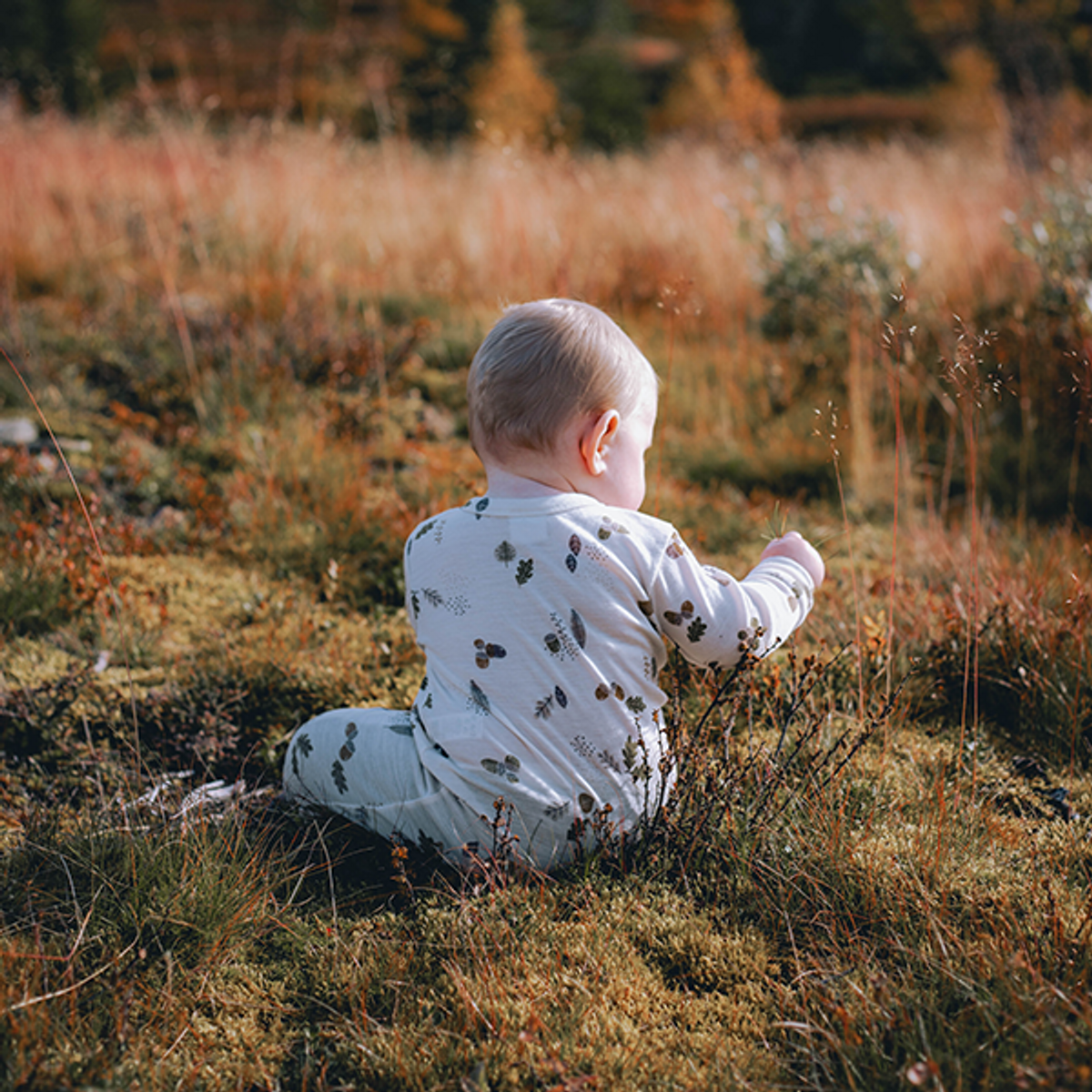 Rondane | Heldress | Ull | Beige Forest