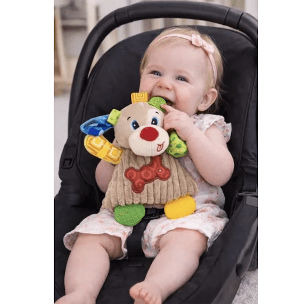 Balibazoo, Kosebamse/Sanseleke, Hund